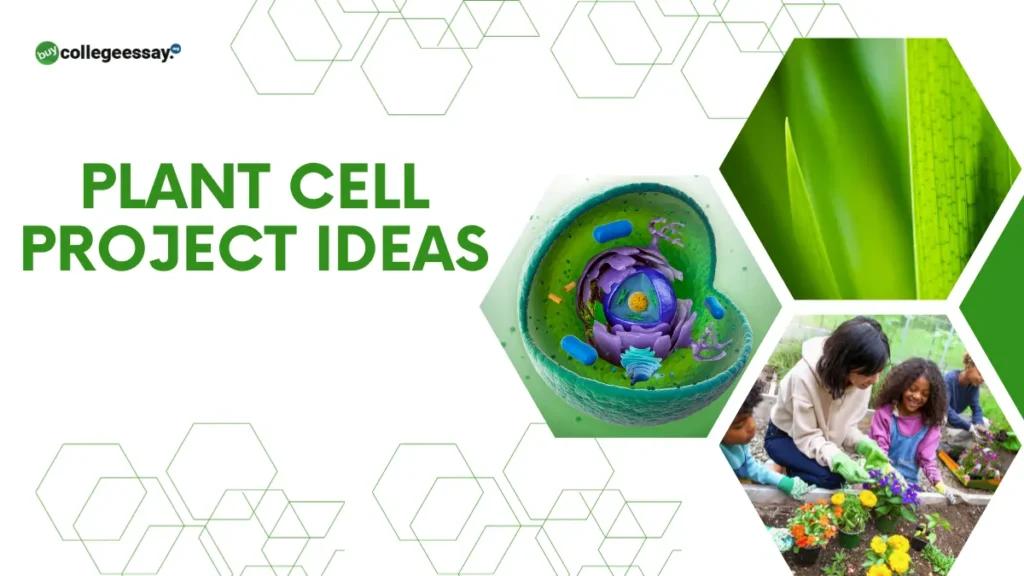 Plant-Cell-Project-Ideas